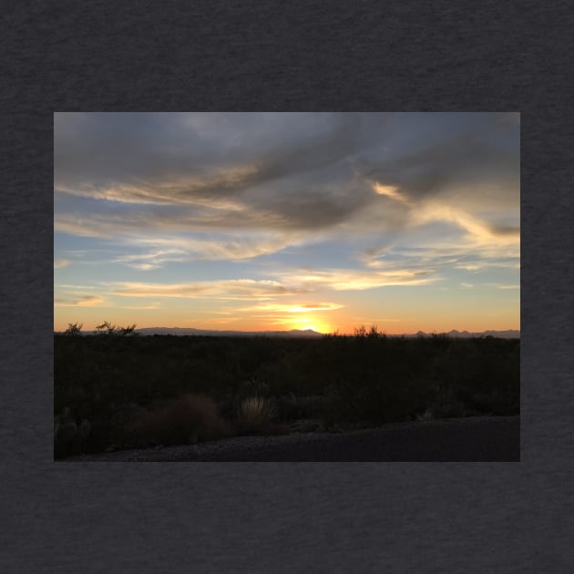 Splendid desert sunset by littlebird